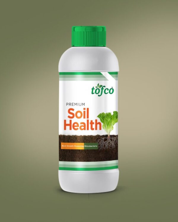 SOIL HEALTH