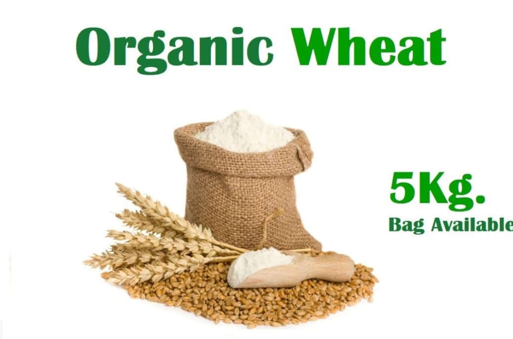 Organic Wheat