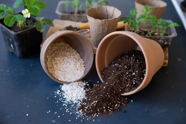 Perlite for Gardening