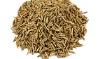 Jeera (Cumin Seeds)