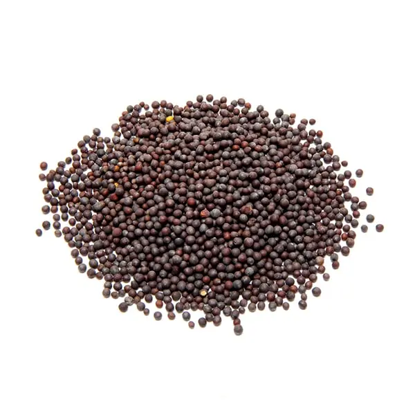 Organic Black Mustard