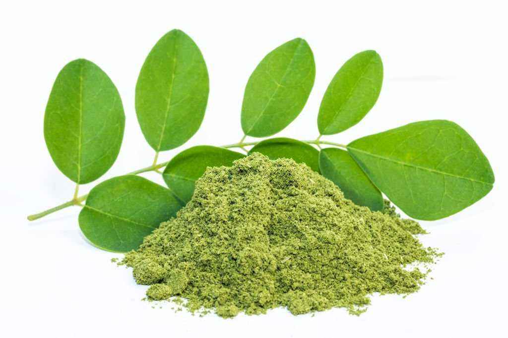 Moringa Powder