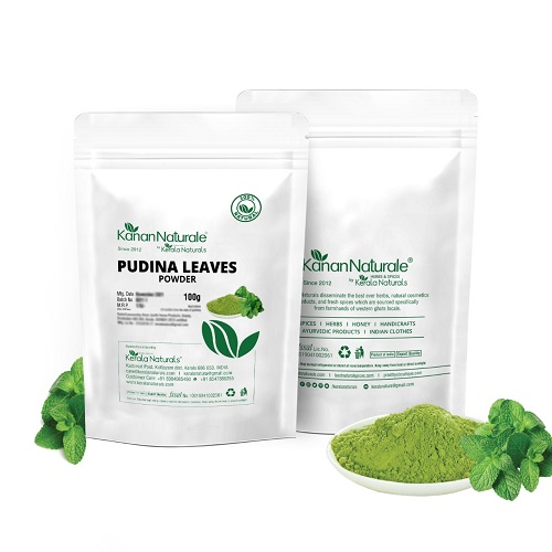 Pudina / Mint Leaves (Mentha) Powder