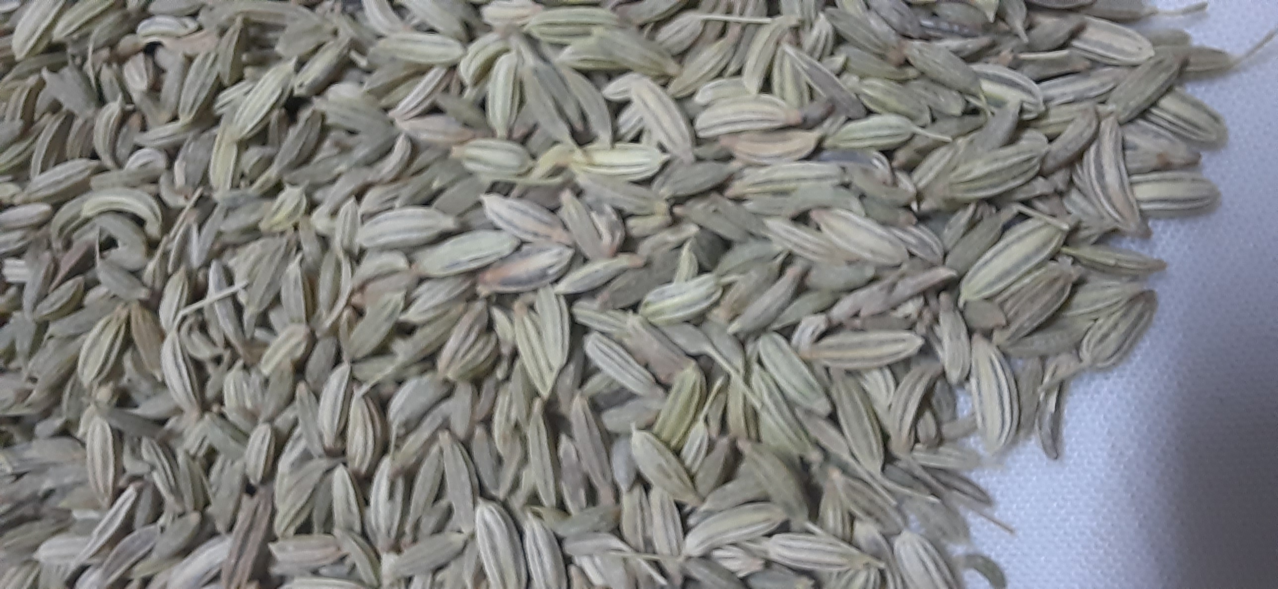 Variyali/fennel seeds