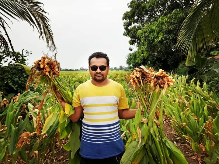 Organic Turmeric powder