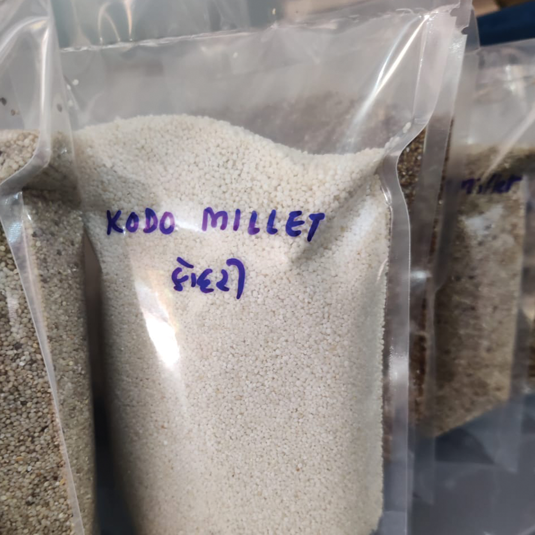 Organic Kodo Millet