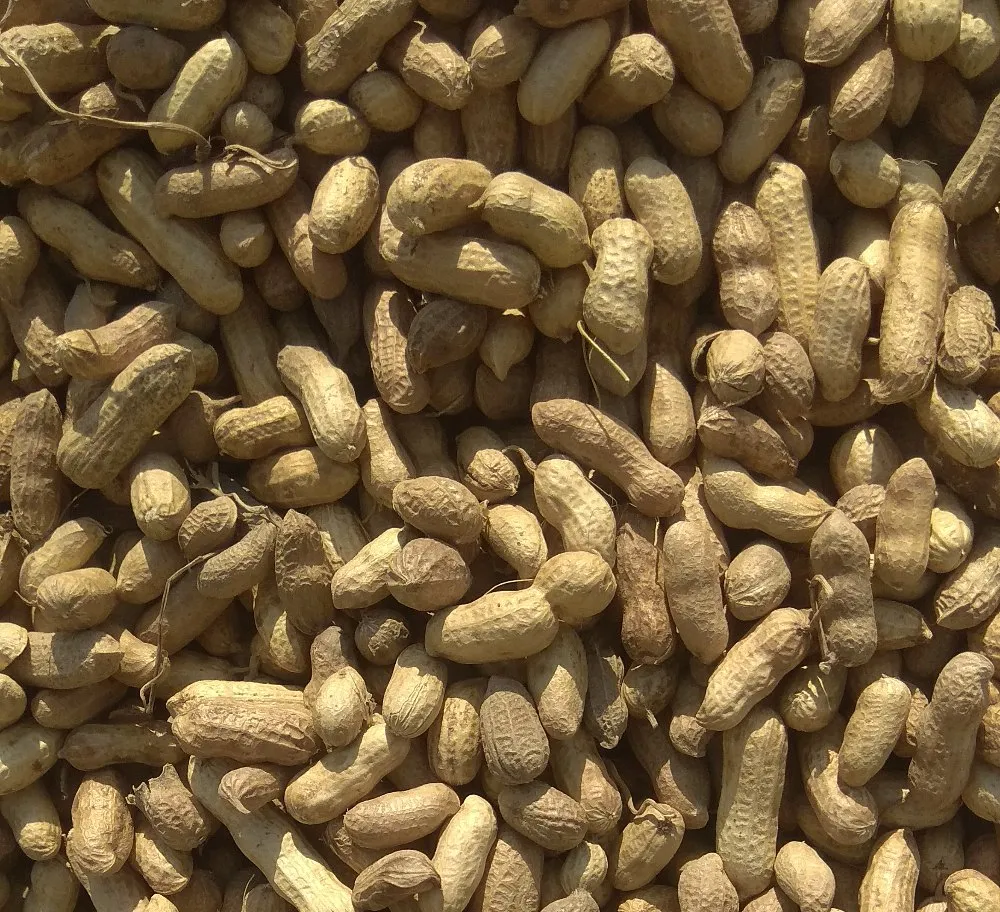 organic peanuts