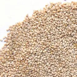 Organic Sesame seed