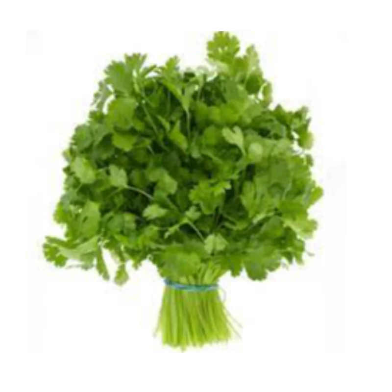 Coriander Leaves