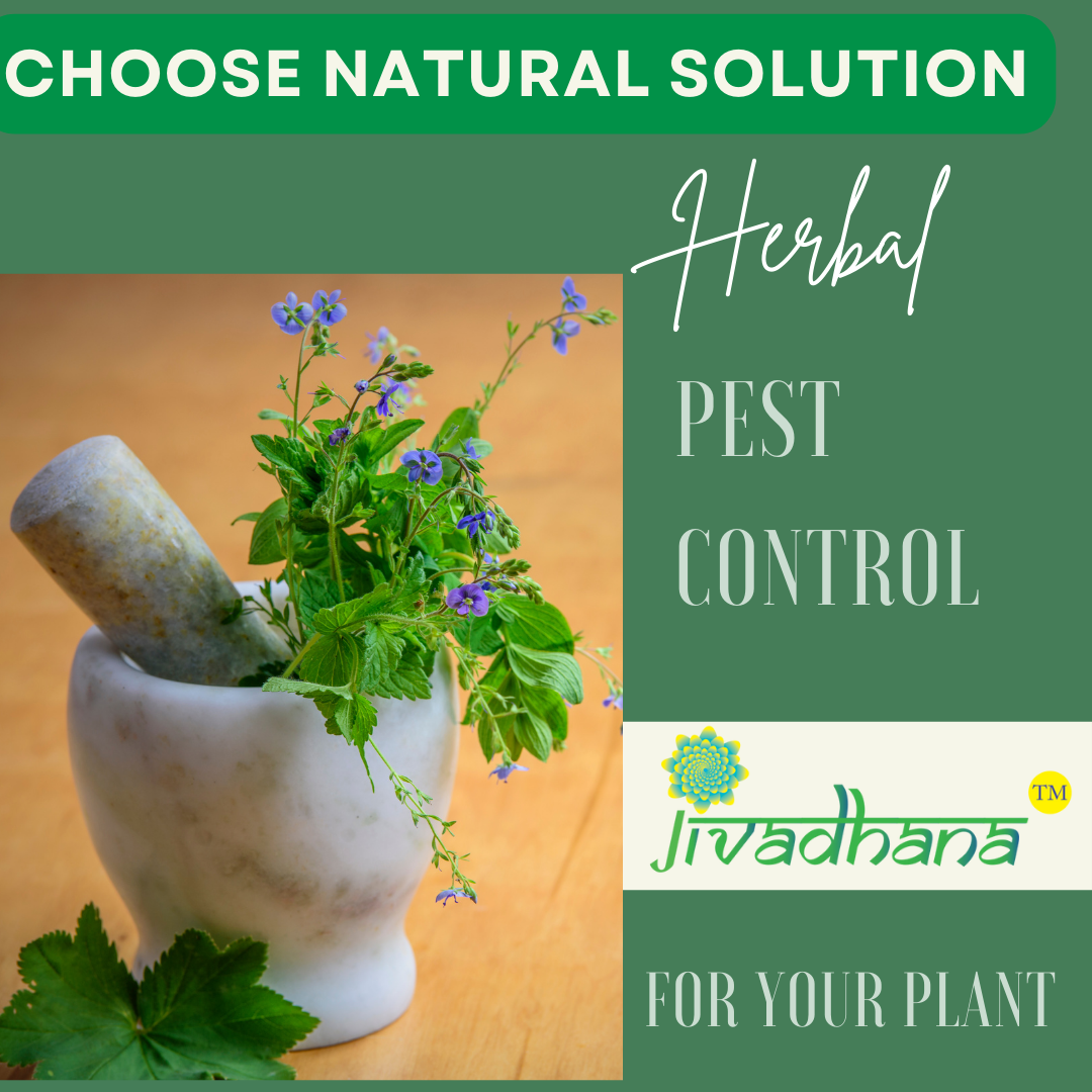 JIVADHANA- HERBAL PEST REPELLANT