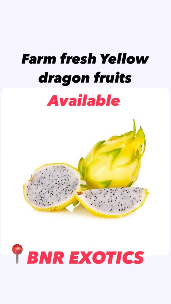 Dragon Fruit Red