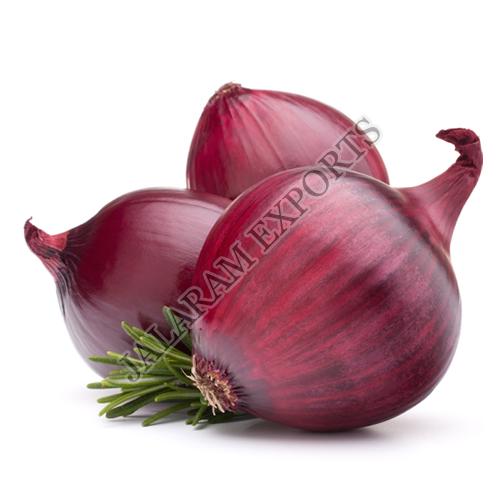 Fresh Onion