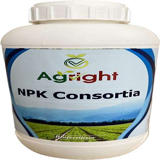 NPK Bio-Fertilizer