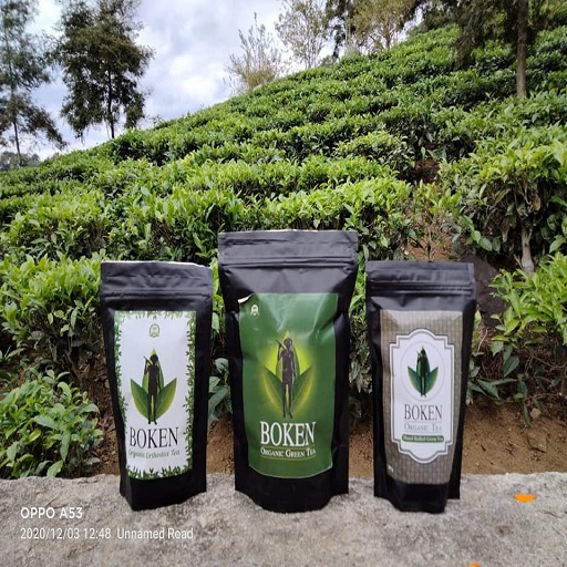 Boken Organic Tea