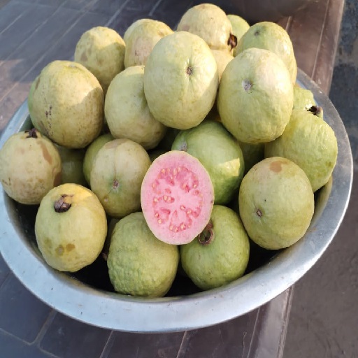 Organic Guava