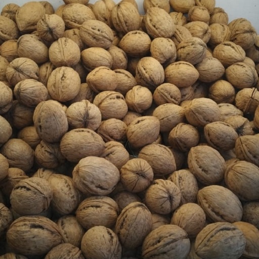 Kashmiri Kagzi Walnut