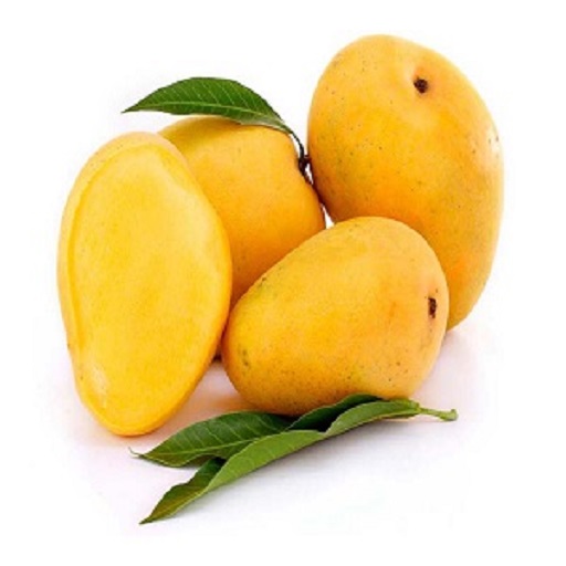 Organic Indian Mango