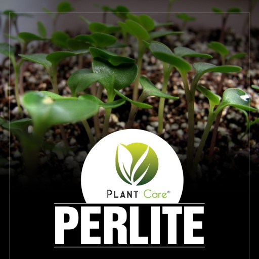 Organic Gardening Perlite