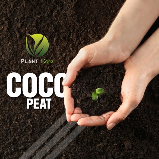 Organic Cocopeat