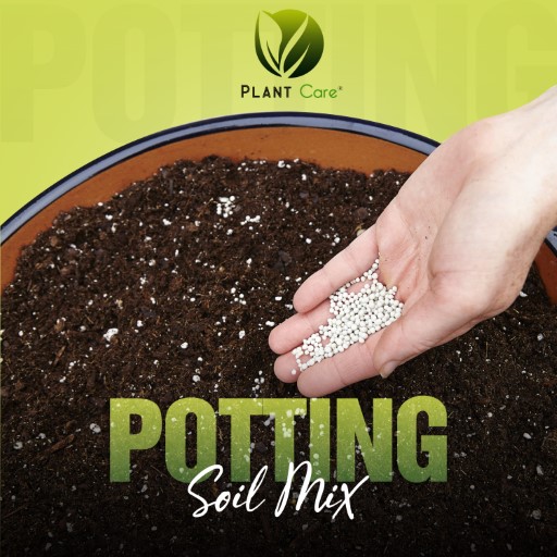 Organic Potting Soil Mix Fertilizer  1 KG