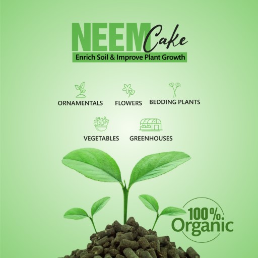 Organic Neem Cake 2 KG