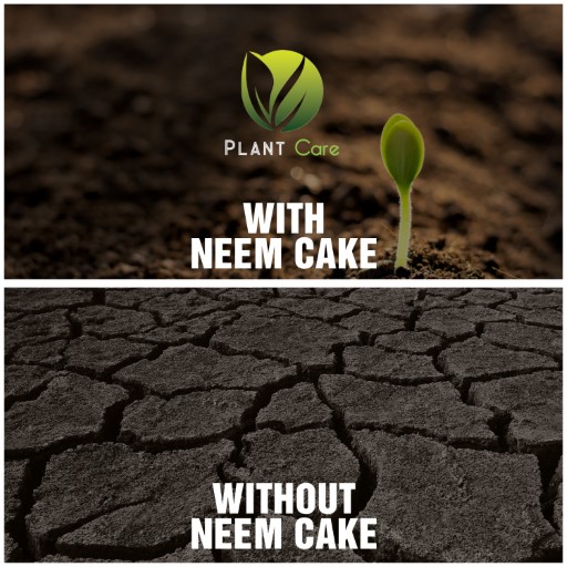 Organic Neem Cake 2 KG