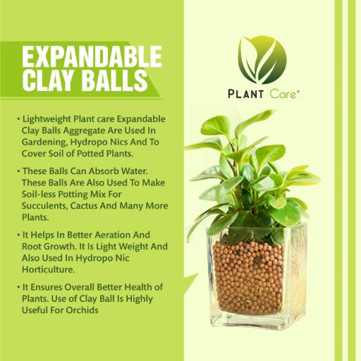 Organic Clay Balls 1 KG