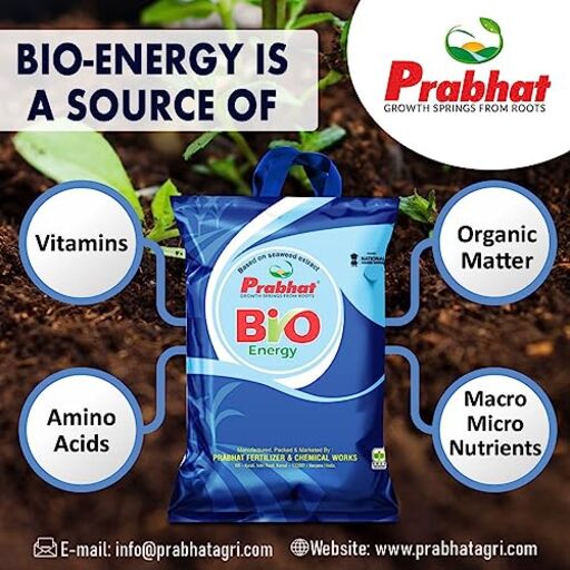 Prabhat Bio-Energy Seaweed Extract Bio Fertilizer granules