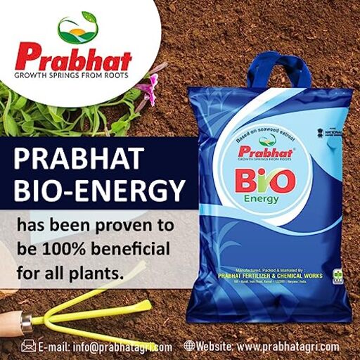 Prabhat Bio-Energy Seaweed Extract Bio Fertilizer granules