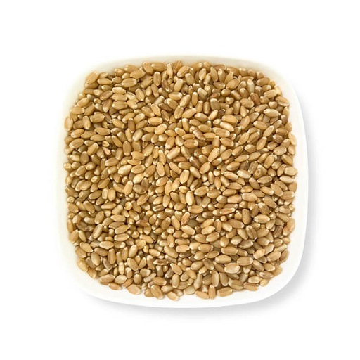 Tukdi Wheat