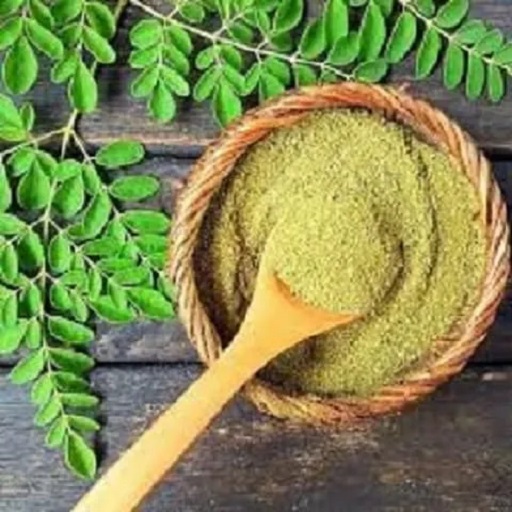 Moringa Powder(15 Kg)