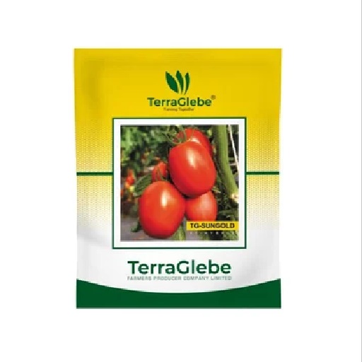 HYBRID TOMATO SEED