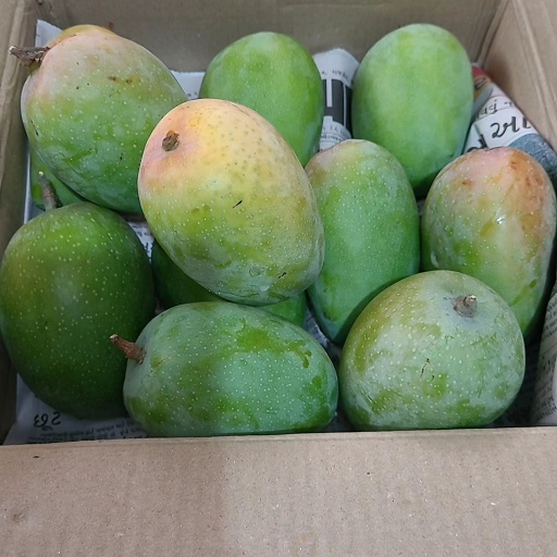 Organic Mango