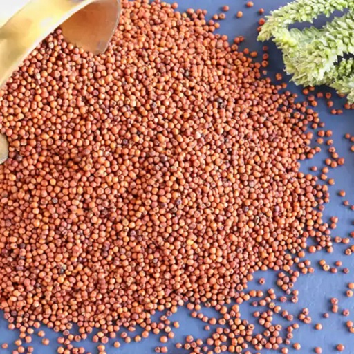 Ragi (Finger Millet-Seed Quality)