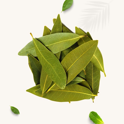 Bay Leaf