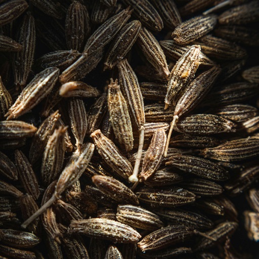 Natural Cumin Seeds