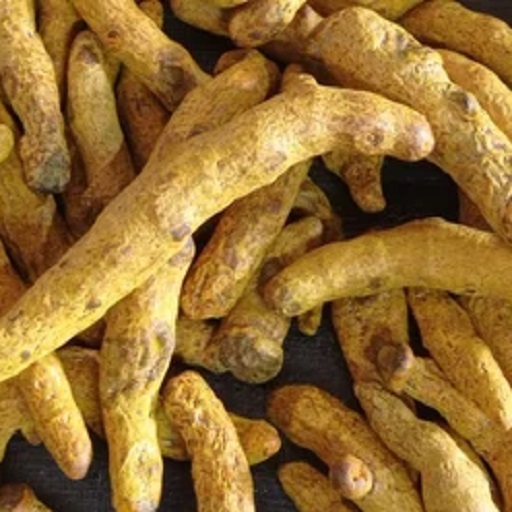 Natural Dried Turmeric Finger