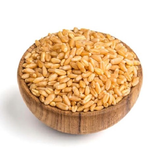 Organic Wheat