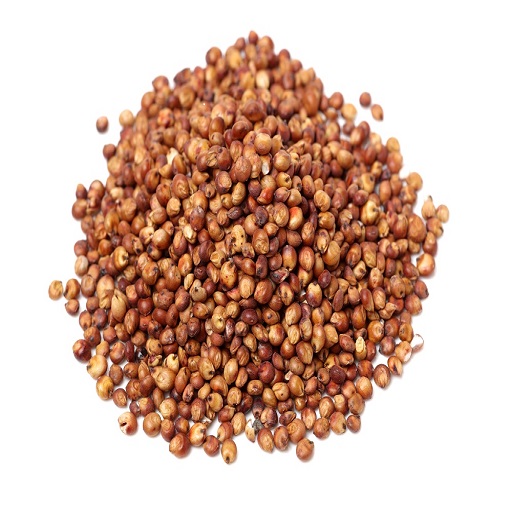 Organic sorghum