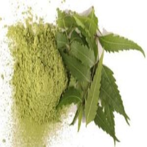 Neem Leaves Powder