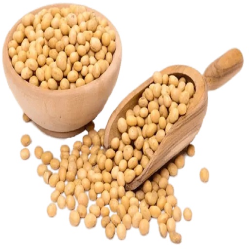 Organic Soyabean