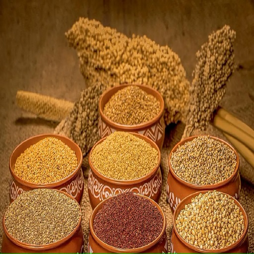 Organic Millets