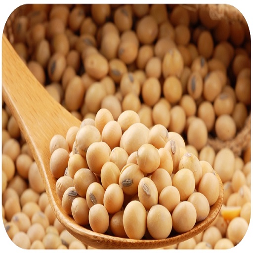 Organic soyabean