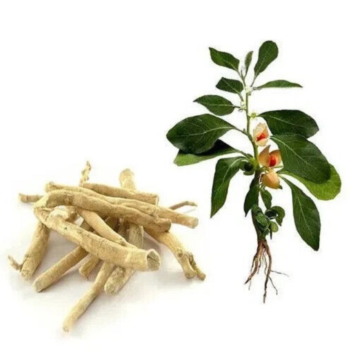 Organic  Ashwagandha