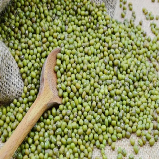 Organic Moong Beans