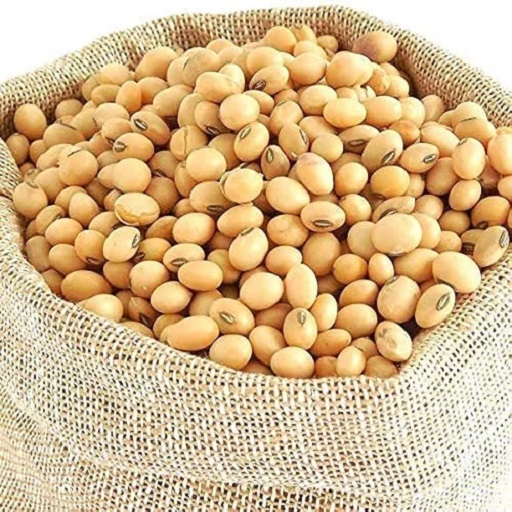 Organic Soybeans