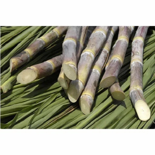 Organic sugarcane