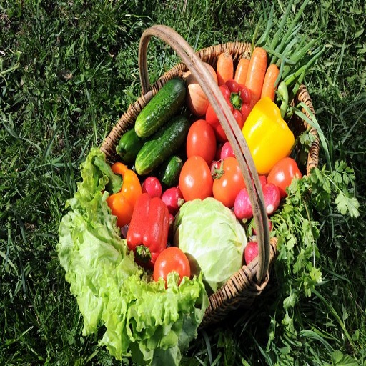 Organic Fresh Vegetables