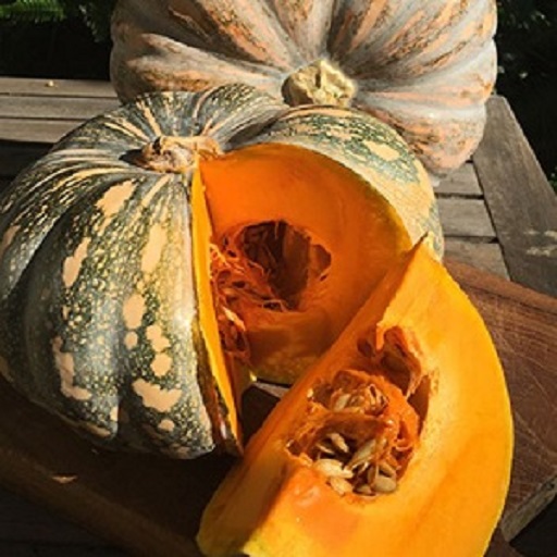 Organic  Pumpkin