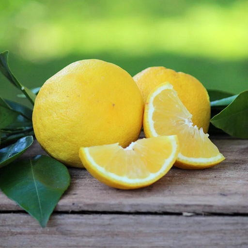 Organic Lemon